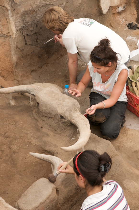 Students Traning in Conservation