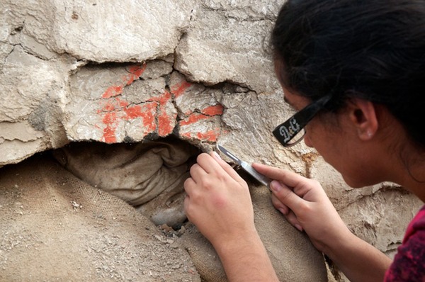 Exposing the Hand Prints