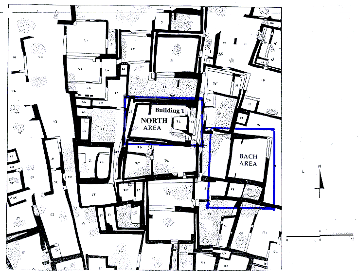 Bach-Area im Zusammenhang. Bildquelle: Archive Report 1997, Fig. 20