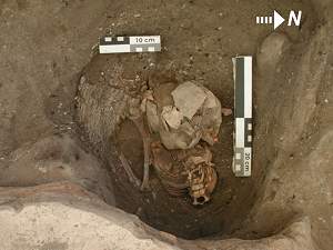 Figure 12: Infant burial and remains of basket