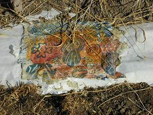 Figure 22: 'Turning through Time', installation by Adrienne Momi, details.