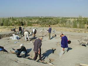 Figure 8: TP Excavations