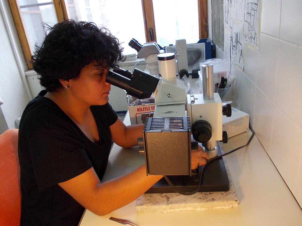 Figure 5: Ceren Kabukcu analysing a section of charcoal to identify the type and size of wood the people of Ҫatalhöyük burnt in their ovens.