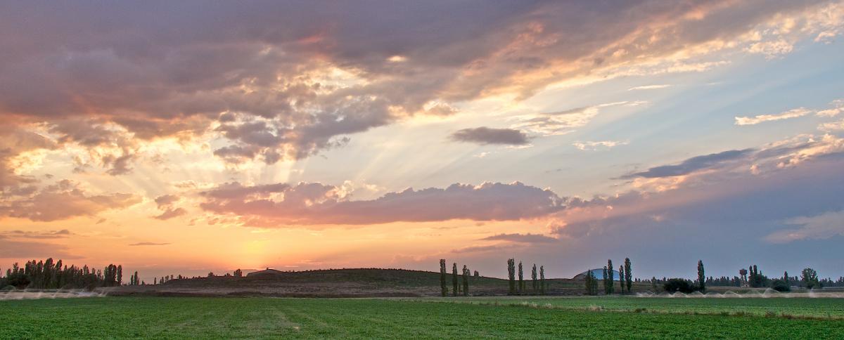 The East Mound of Çatalhöyük at sunrise. Photograph taken by Scott Haddow.